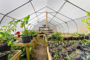 1105 Griffin Branch Rd, Marshall, NC 28753 - Photo 27