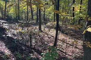 0 Poplar Ln Rd, Albemarle, NC 28001 - Photo 1