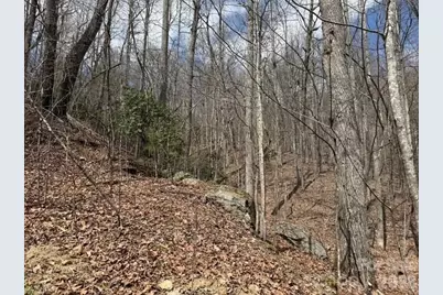 158 Chattooga Run #402, Hendersonville, NC 28739 - Photo 3