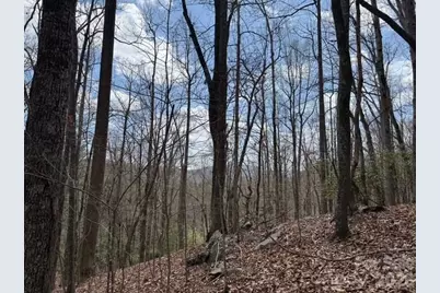 158 Chattooga Run #402, Hendersonville, NC 28739 - Photo 5