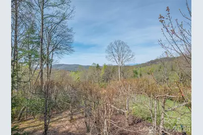 4 Wild Ivy Run, Hendersonville, NC 28739 - Photo 37