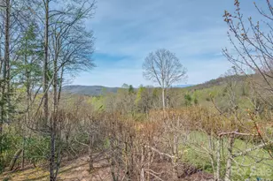 4 Wild Ivy Run, Hendersonville, NC 28739 - Photo 37