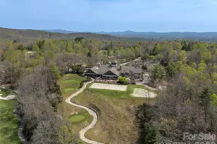 4 Wild Ivy Run, Hendersonville, NC 28739 - Photo 45