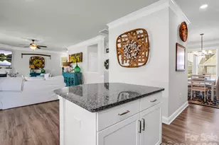 383 Fox Cove Rd, Hendersonville, NC 28792 - Photo 11