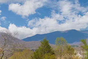 35 Alice Clement Ln, Asheville, NC 28803 - Photo 39