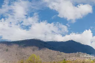 35 Alice Clement Ln, Asheville, NC 28803 - Photo 45