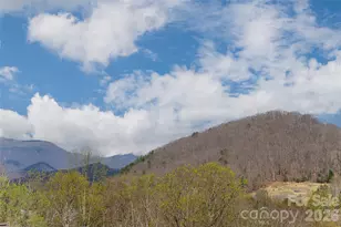 35 Alice Clement Ln, Asheville, NC 28803 - Photo 41