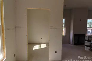 117 Mason Tanner Ct, Rock Hill, SC 29730 - Photo 7