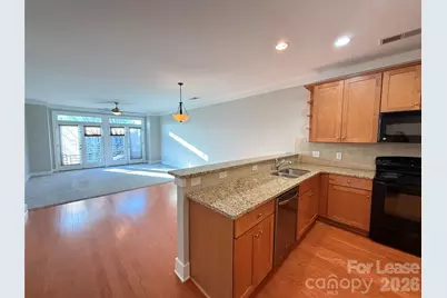 714 Cotton Gin Alley, Davidson, NC 28036 - Photo 7