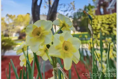 1038 Patricians Lane, Wesley Chapel, NC 28110 - Photo 5