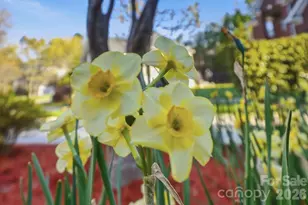 1038 Patricians Ln, Wesley Chapel, NC 28110 - Photo 37