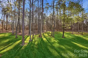 1038 Patricians Ln, Wesley Chapel, NC 28110 - Photo 13