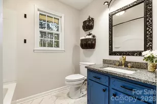 5329 E Hwy 27 Hwy, Iron Station, NC 28080 - Photo 21