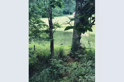 1359 Chestnut Grove Road, Spruce Pine, NC 28777 - Photo 7