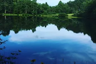 1359 Chestnut Grove Rd, Spruce Pine, NC 28777 - Photo 13