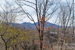 178 Courtland Pl, Asheville, NC 28801 - Photo 35