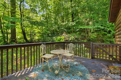 898 Morgan Hill Road, Black Mountain, NC 28711 - Photo 29