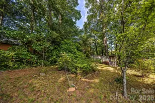 59 Greeley St, Asheville, NC 28806 - Photo 33