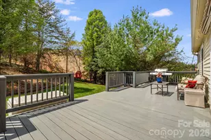 17 Moss Pink Pl, Asheville, NC 28806 - Photo 39