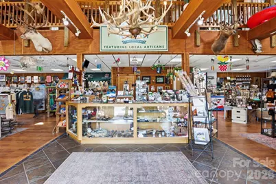 10932 Rosman Highway, Lake Toxaway, NC 28747 - Photo 9