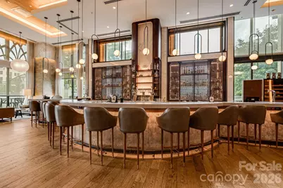 7 Patton Avenue #1005, Asheville, NC 28801 - Photo 29