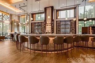 7 Patton Ave, Asheville, NC 28801 - Photo 29