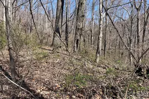 182 Old Mountain Pass, Hendersonville, NC 28792 - Photo 1