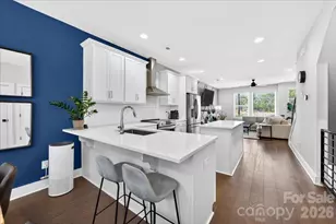 7017 Loso Cmns Wy, Charlotte, NC 28217 - Photo 7