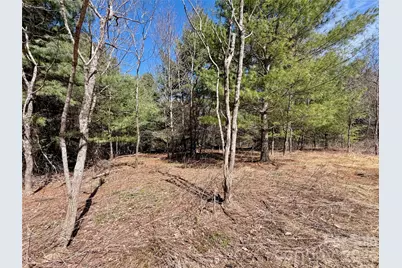 Tbd Grandview Drive #Tract A, Boone, NC 28607 - Photo 33