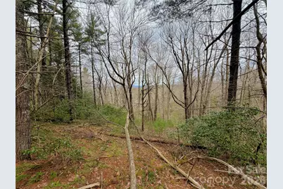 Tbd Grandview Drive #Tract A, Boone, NC 28607 - Photo 31