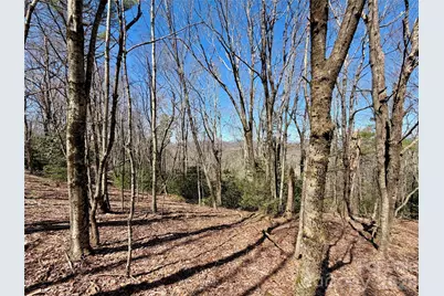 Tbd Grandview Drive #Tract A, Boone, NC 28607 - Photo 41