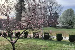 476 Jackson Loop Rd, Flat Rock, NC 28731 - Photo 33