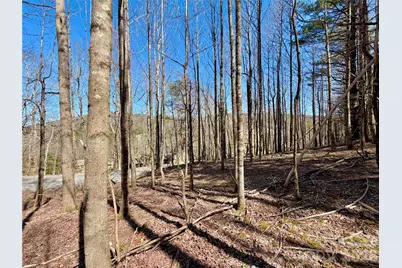 Tbd George Hayes Road #Tract B, Boone, NC 28607 - Photo 17