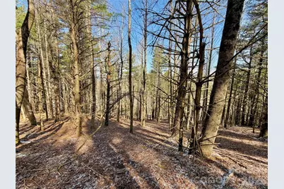 Tbd George Hayes Road #Tract B, Boone, NC 28607 - Photo 11