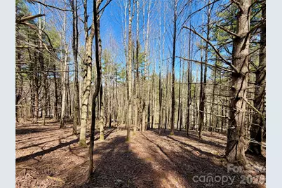 Tbd George Hayes Road #Tract B, Boone, NC 28607 - Photo 15