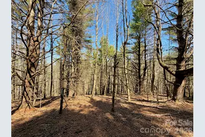 Tbd George Hayes Road #Tract B, Boone, NC 28607 - Photo 13