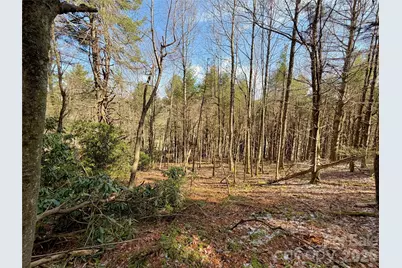 Tbd George Hayes Road #Tract C, Boone, NC 28607 - Photo 11
