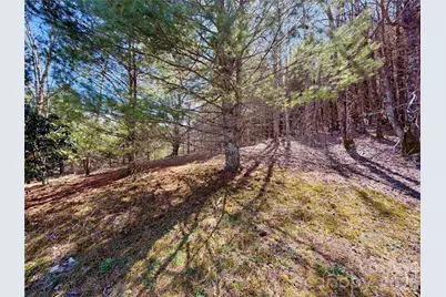 Tbd George Hayes Road #Tract C, Boone, NC 28607 - Photo 17