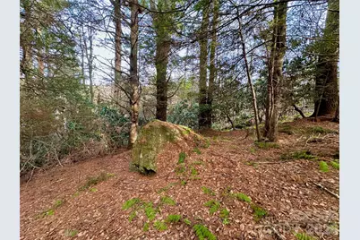Tbd George Hayes Road #Tract C, Boone, NC 28607 - Photo 15