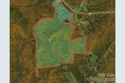 316 Lewis Fork Baptist Church Road, Purlear, NC 28665 - Photo 47