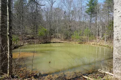 316 Lewis Fork Baptist Church Road, Purlear, NC 28665 - Photo 39