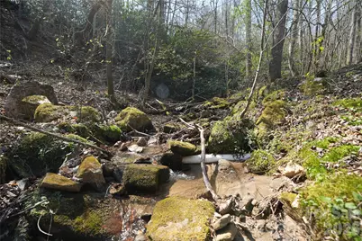 316 Lewis Fork Baptist Church Road, Purlear, NC 28665 - Photo 35