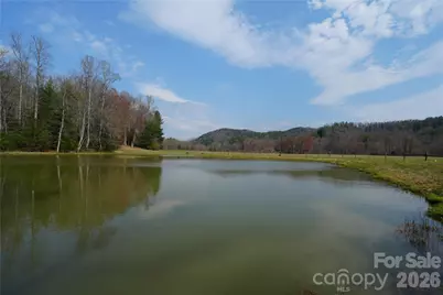 316 Lewis Fork Baptist Church Road, Purlear, NC 28665 - Photo 7