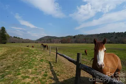 316 Lewis Fork Baptist Church Road, Purlear, NC 28665 - Photo 9