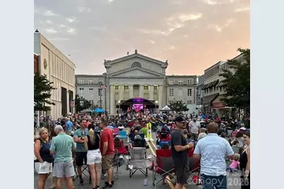 175 Buffalo Shoals Road, Lincolnton, NC 28092 - Photo 33