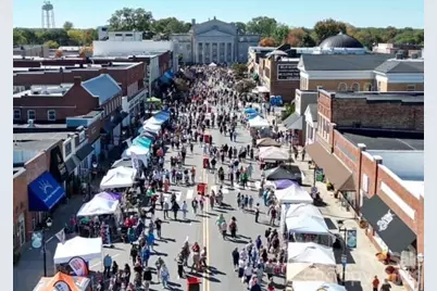 175 Buffalo Shoals Road, Lincolnton, NC 28092 - Photo 35