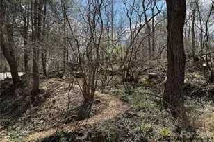 4 Zachary Ridge Rd, Asheville, NC 28804 - Photo 35