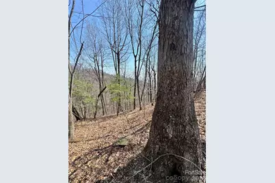 0000 Pinnacle Parkway, Union Mills, NC 28167 - Photo 1