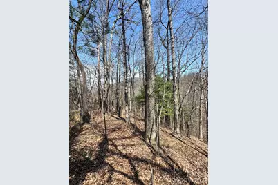 0000 Pinnacle Parkway, Union Mills, NC 28167 - Photo 3