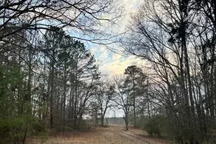 2211 Bottom Dr, Chester, SC 29706 - Photo 1